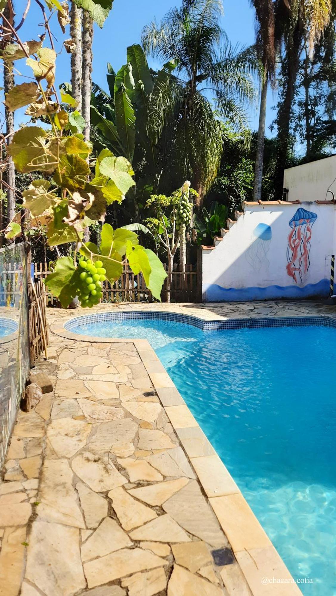 Chacara Piscina,lazer Em Familia E Pets *